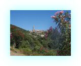 SardKors2010- (90)-web1.jpg